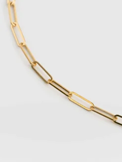 Fashion Saint and Sofia Link Chain Necklace - Gold